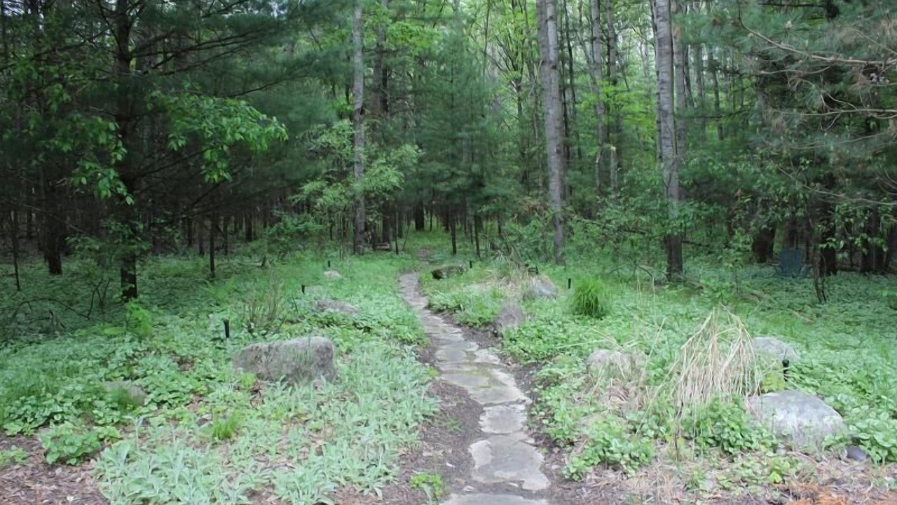 Photo of Outdoor in Newaygo