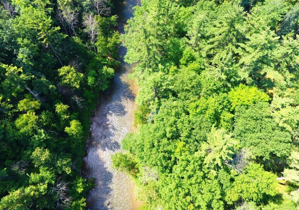 Photo of Outdoor in Newaygo