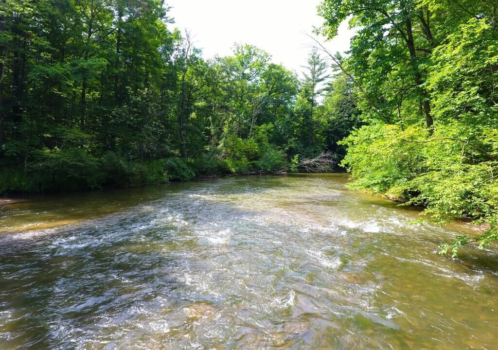 Photo of Outdoor in Newaygo