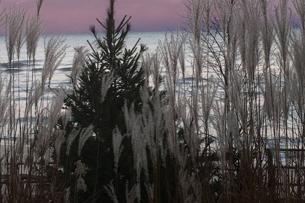 Photo of Others in Sheboygan