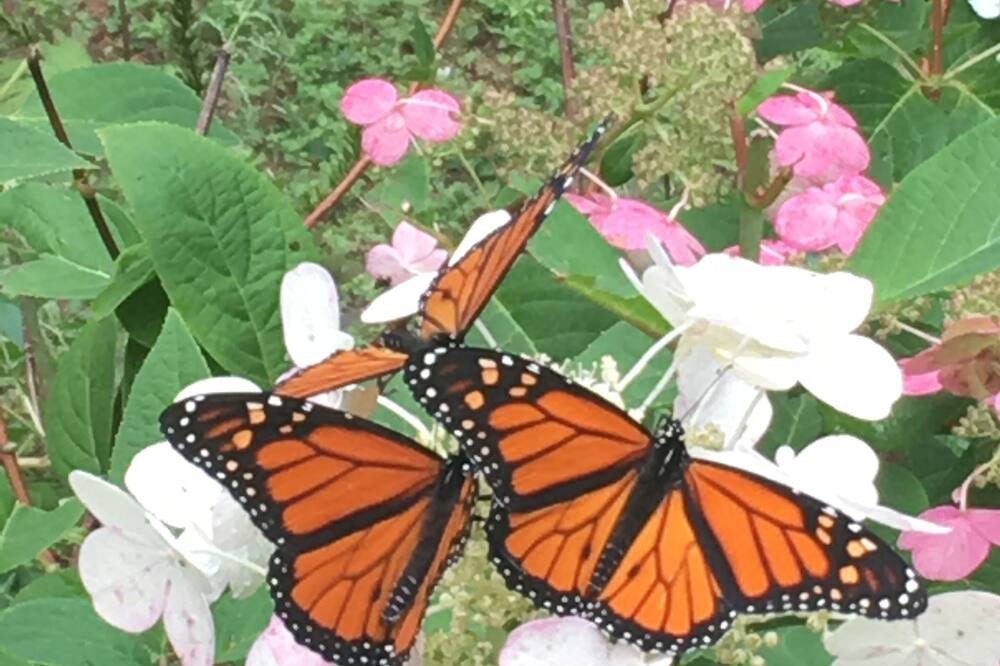 Photo of Outdoor in Sheboygan