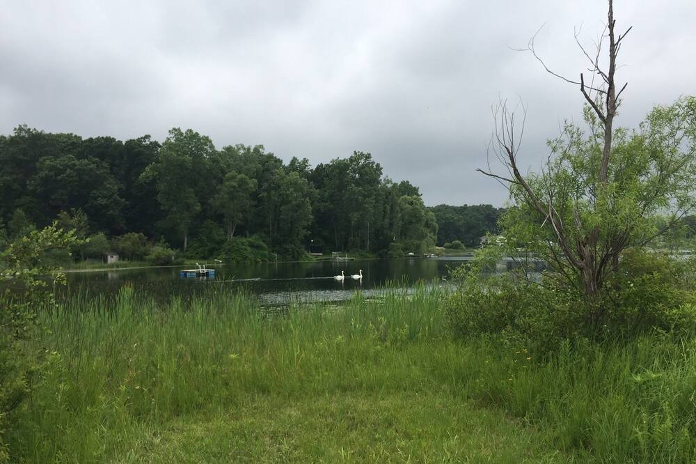 Photo of Outdoor in Grand Rapids
