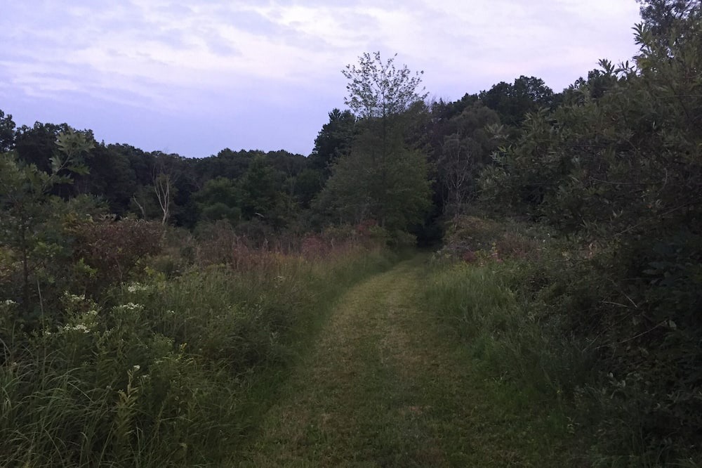 Photo of Outdoor in Grand Rapids