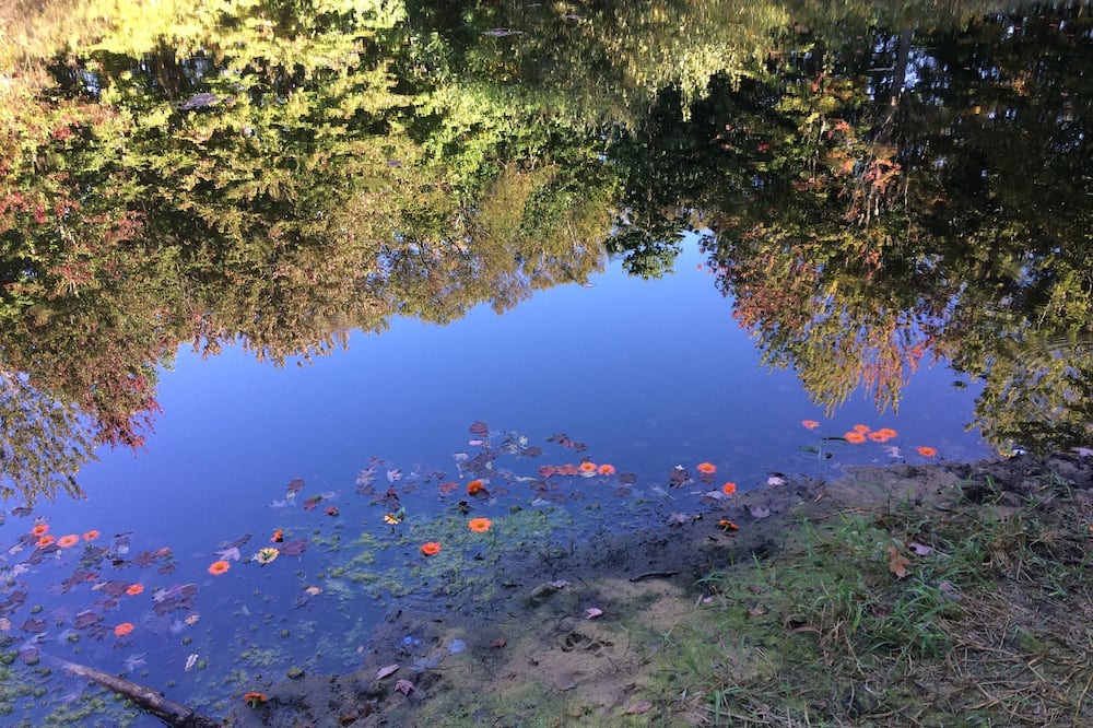 Photo of Outdoor in Fennville