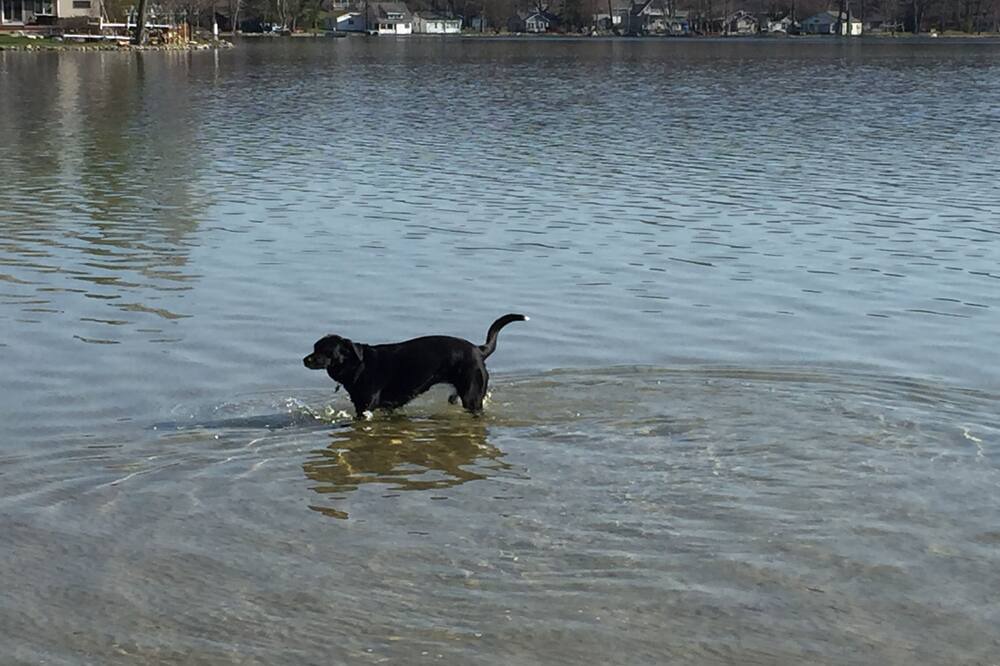 Photo of Others in Newaygo