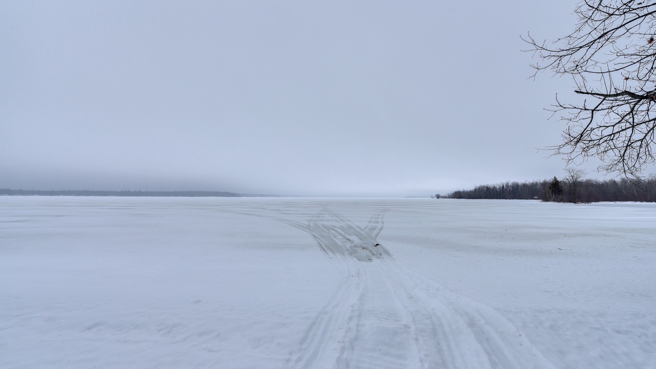 Photo of Others in Carp Lake