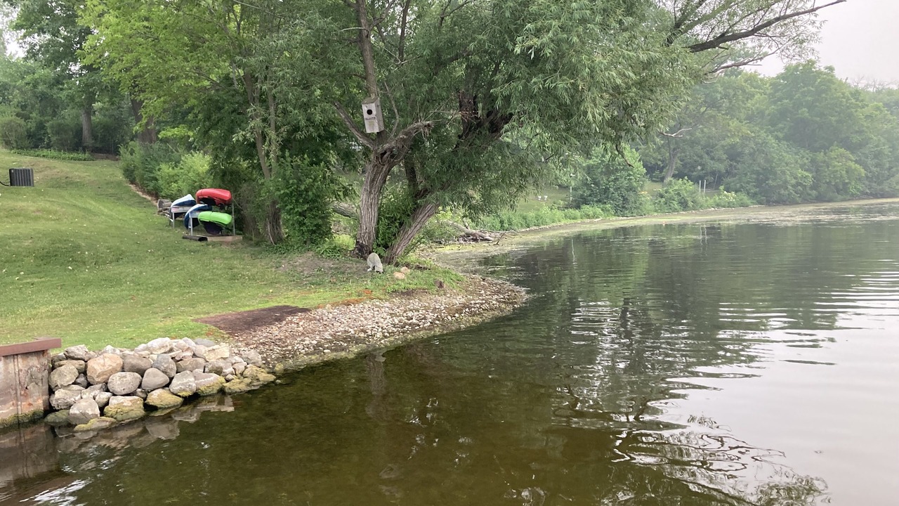 Photo of Outdoor in Ingleside