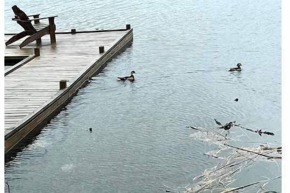 Photo of Outdoor in Middleville