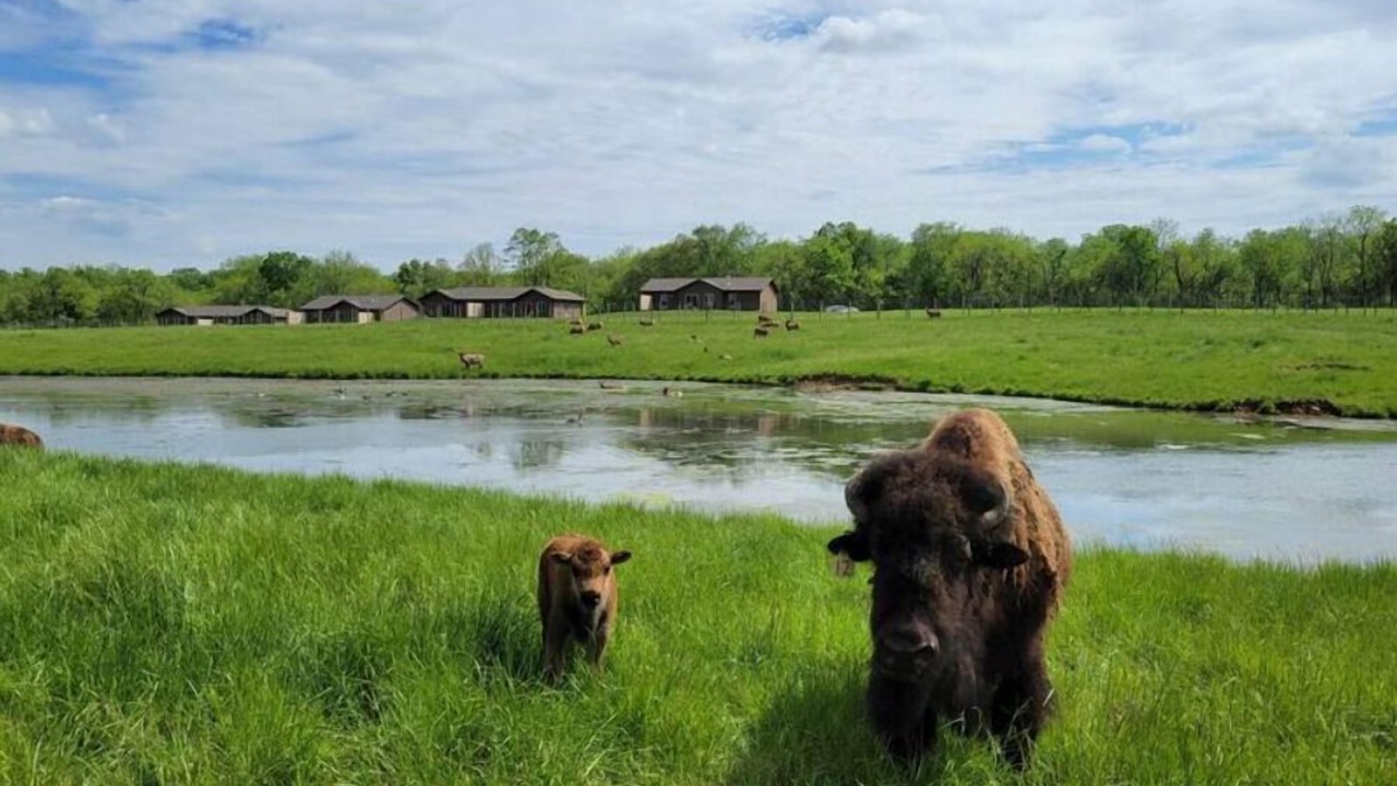 Photo of Outdoor in Orange Prairie