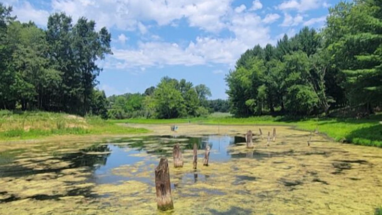 Photo of Others in Orange Prairie