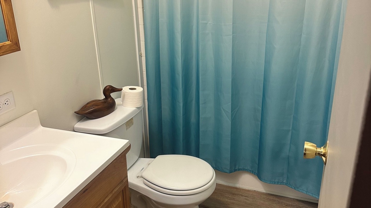 Photo of Bathroom in Athelstane