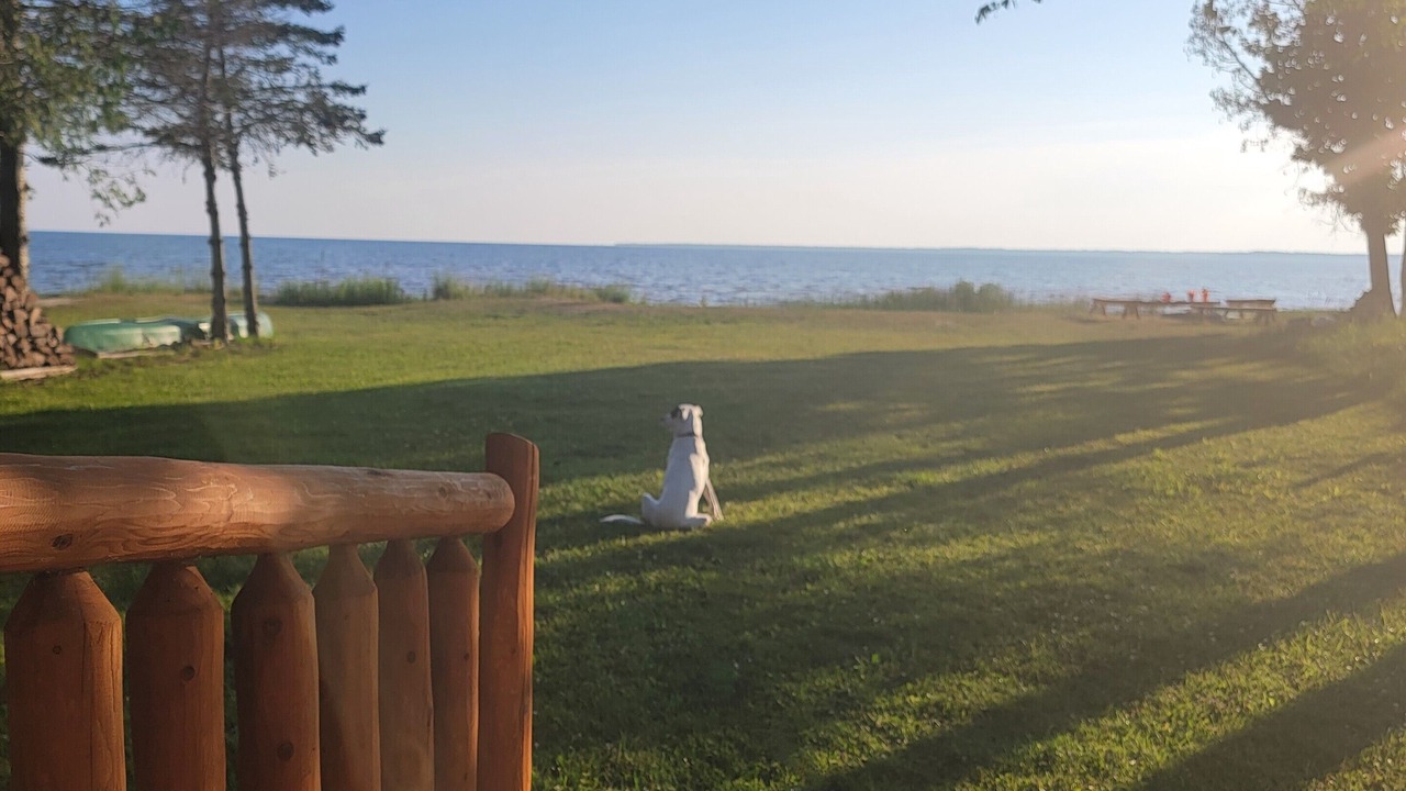 Photo of Others in Garden