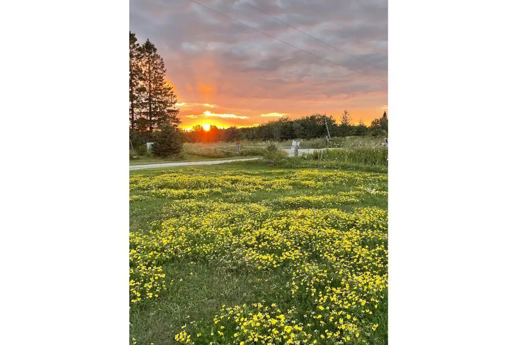 Photo of Outdoor in Hessel