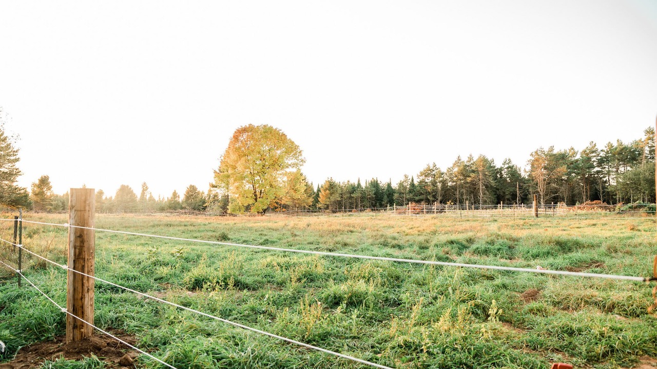 Photo of Outdoor in Rhinelander