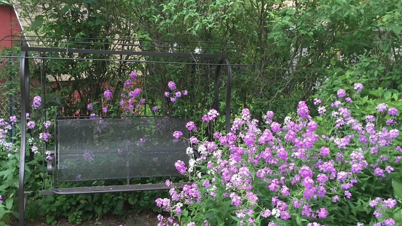 Photo of Outdoor in Racine