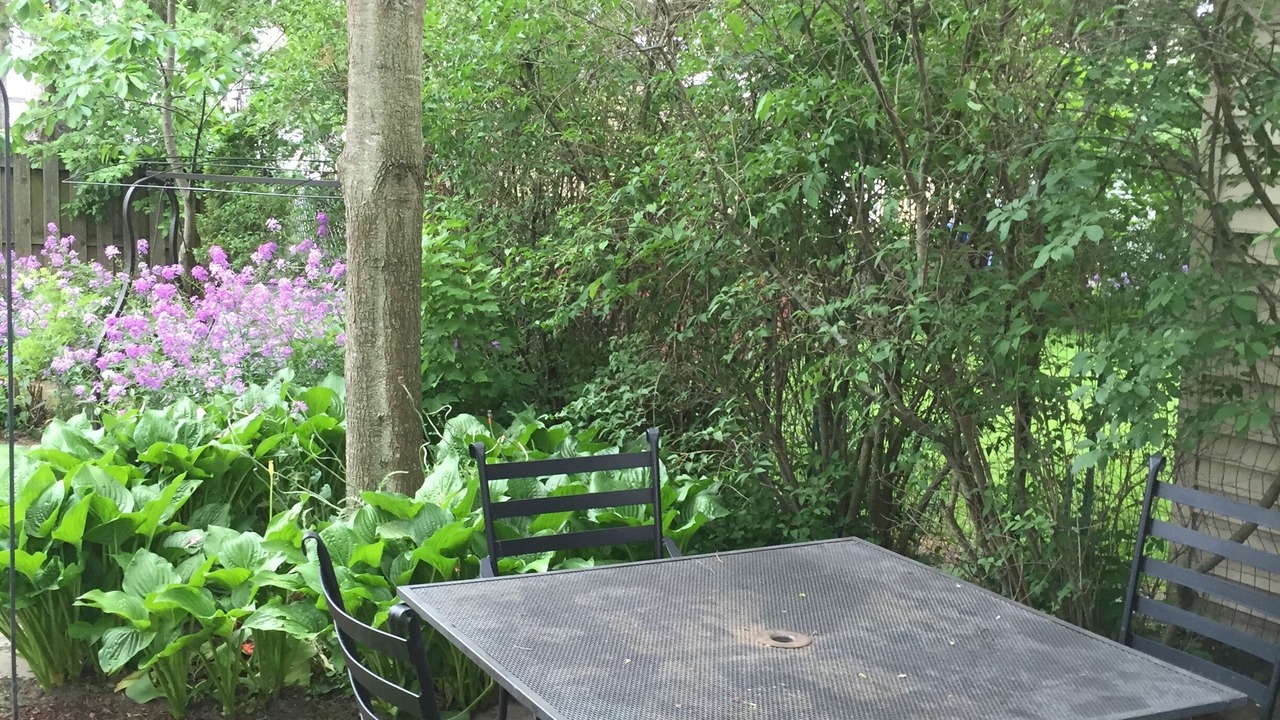 Photo of Outdoor in Racine