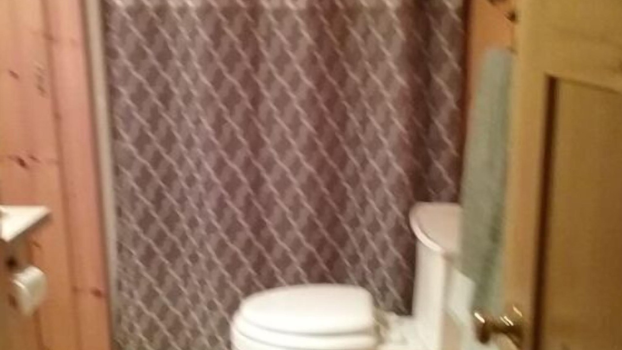Photo of Bathroom in Curtis Township