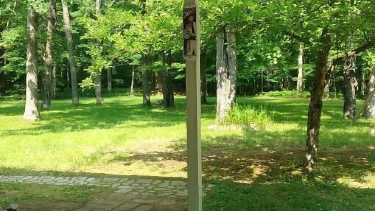 Photo of Others in Curtis Township