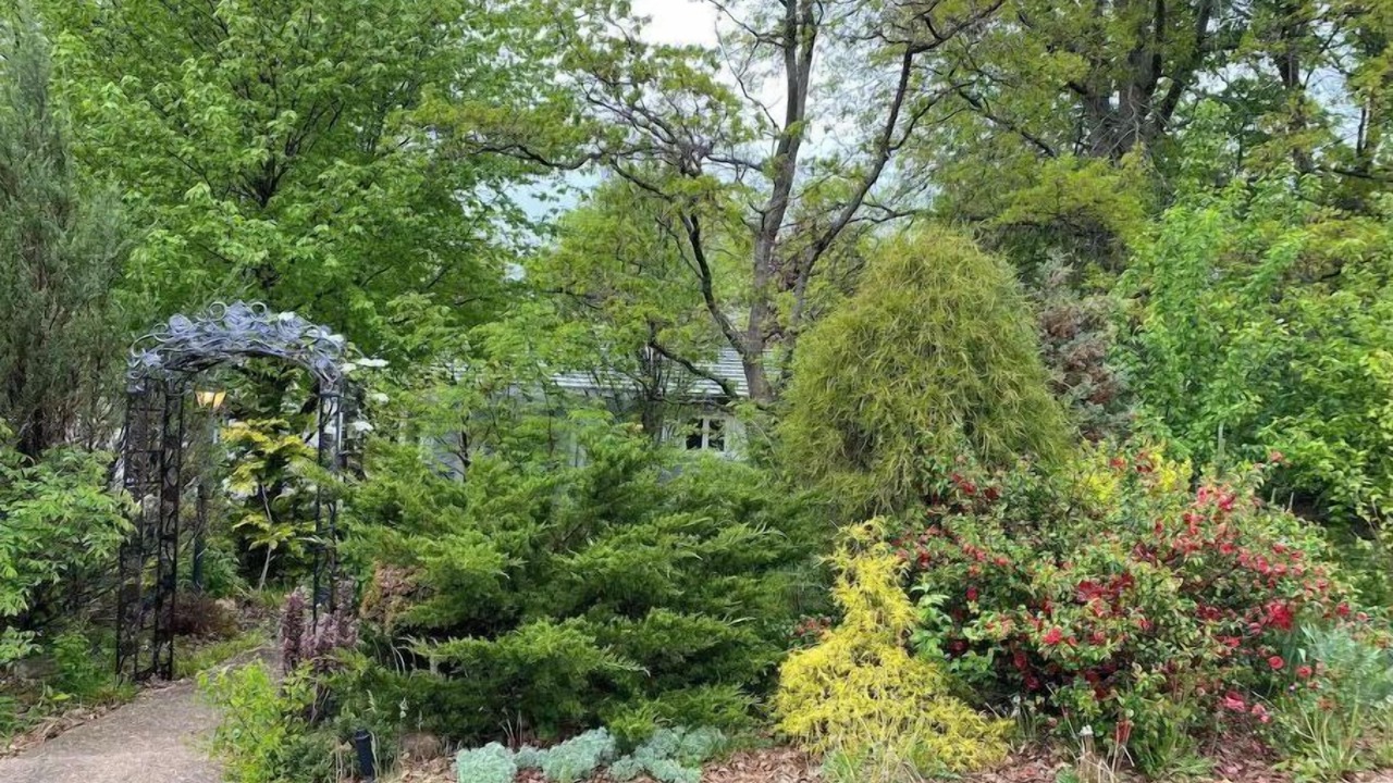 Photo of Outdoor in Windsor Heights