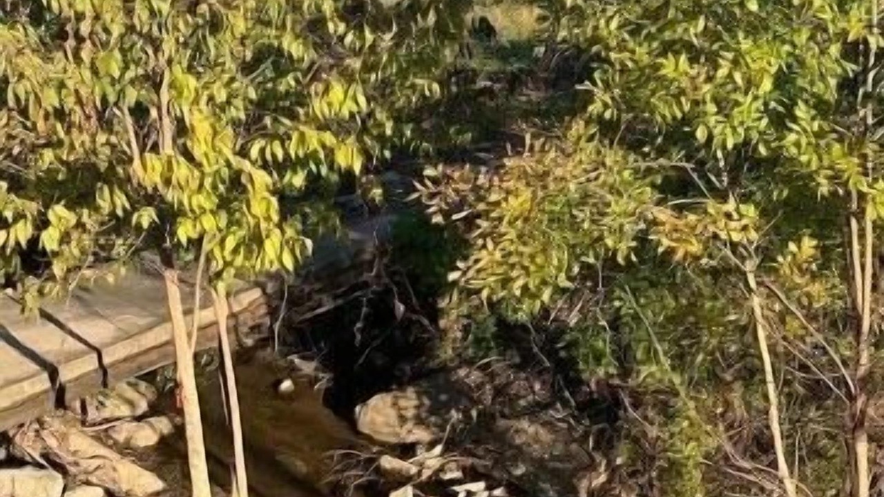 Photo of Outdoor in Sunnyland