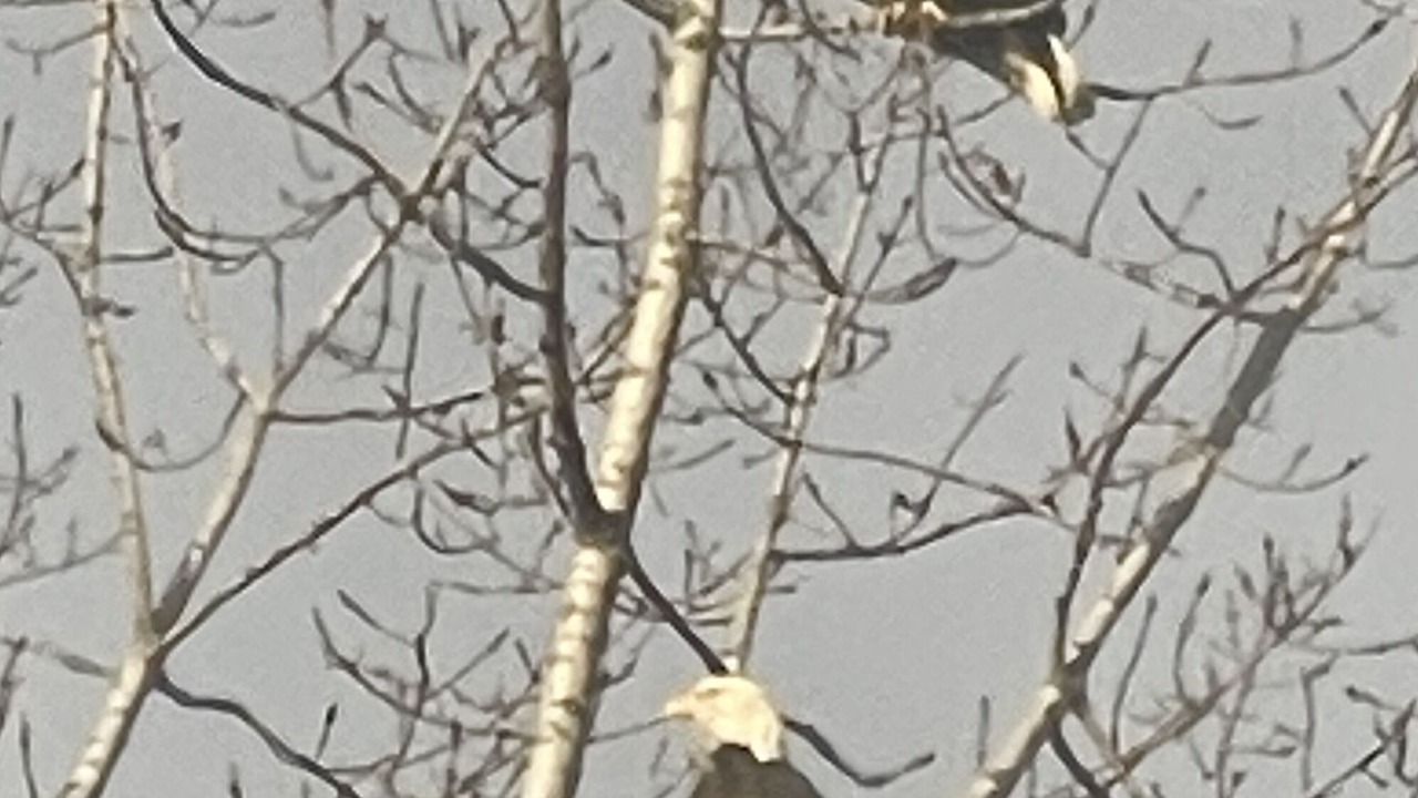 Photo of Others in Metamora