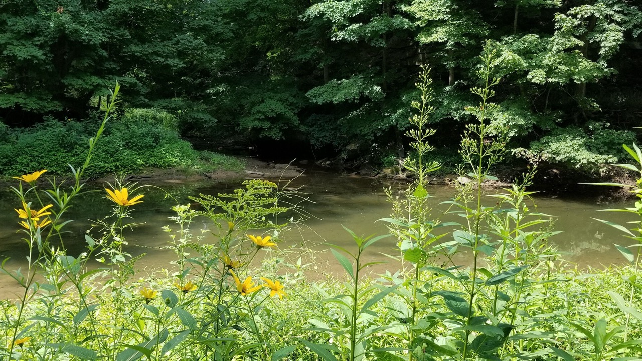 Photo of Outdoor in Hillsboro