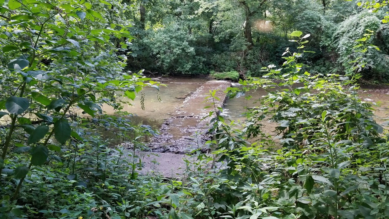 Photo of Outdoor in Hillsboro