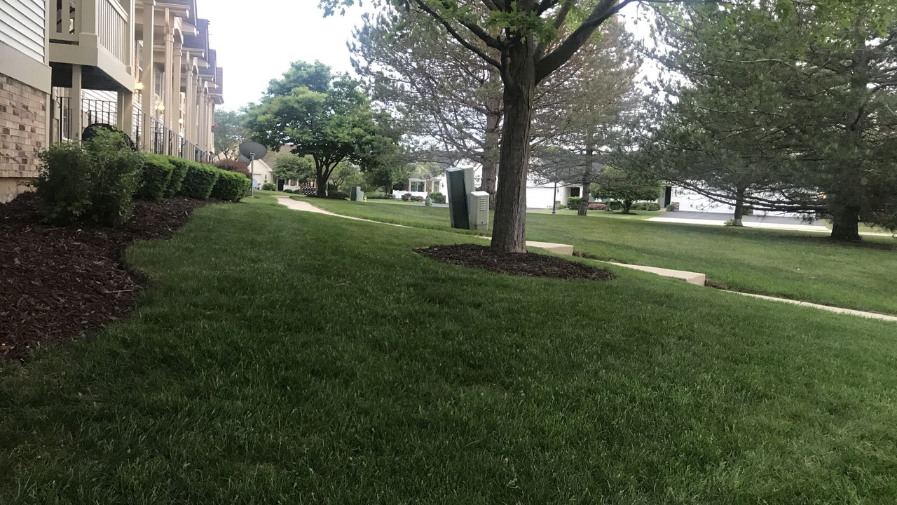 Photo of Others in Wadsworth