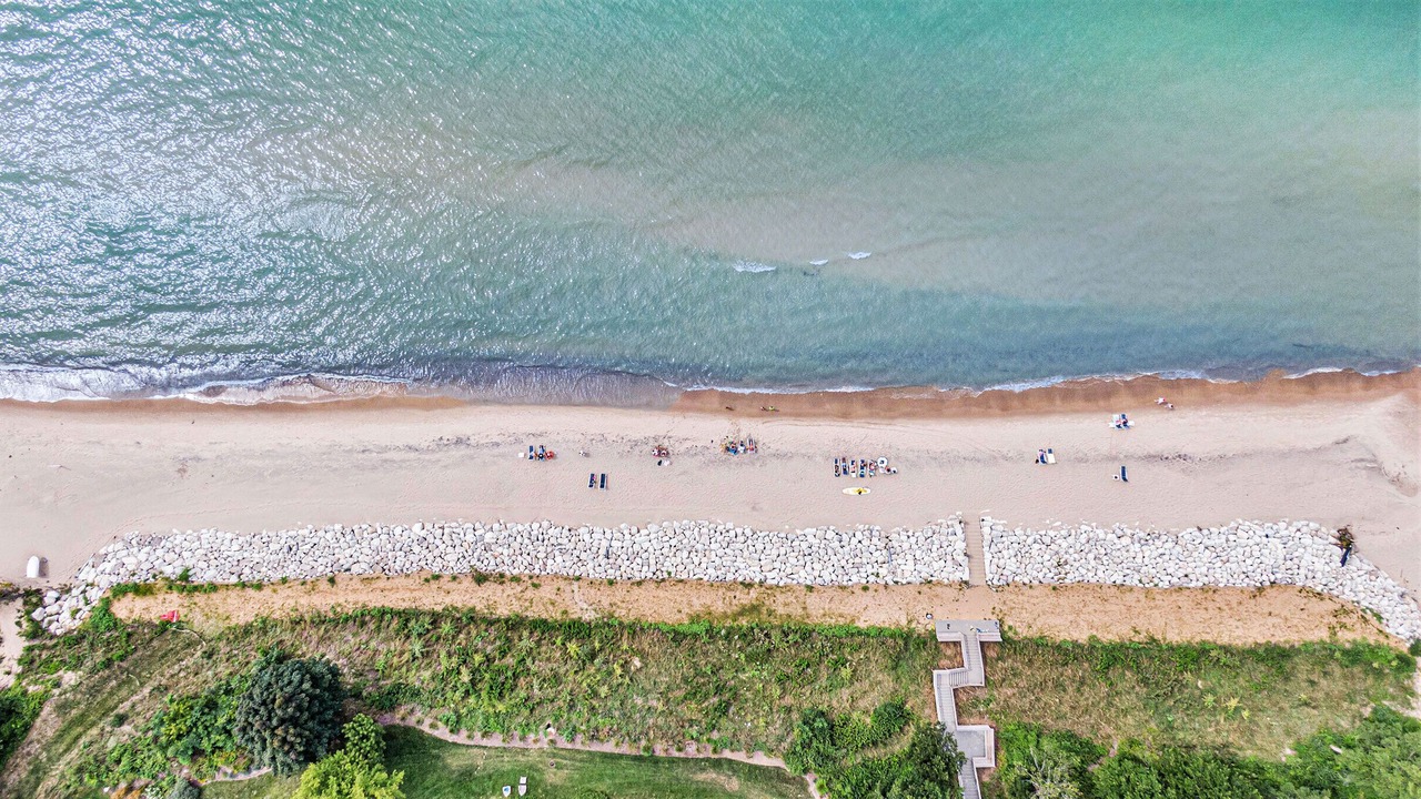 Photo of Others in South Haven