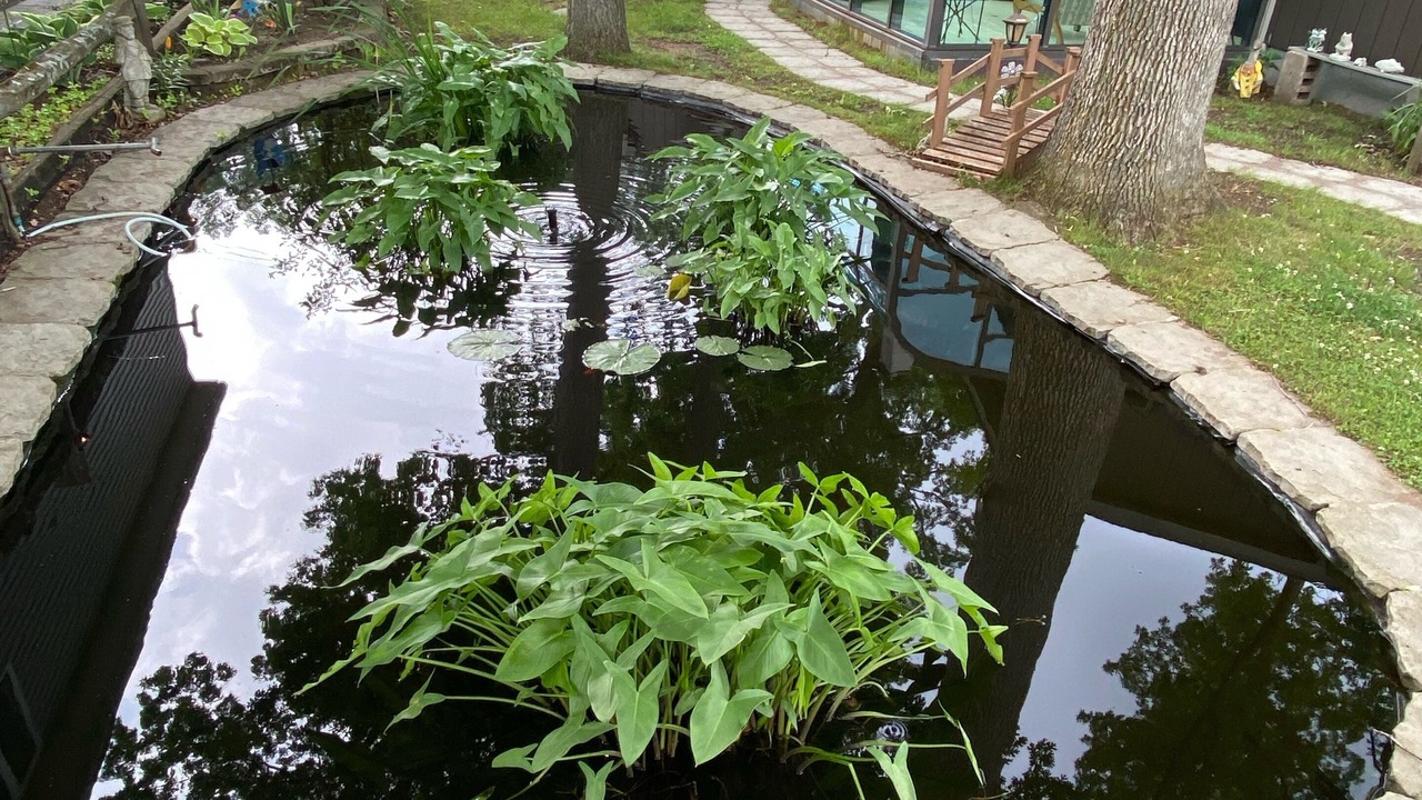 Photo of Outdoor in Lakeland