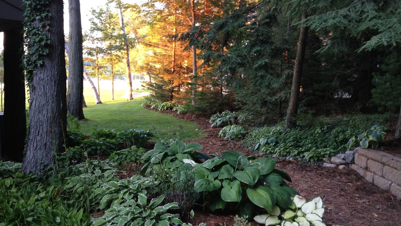 Photo of Outdoor in Whitehall