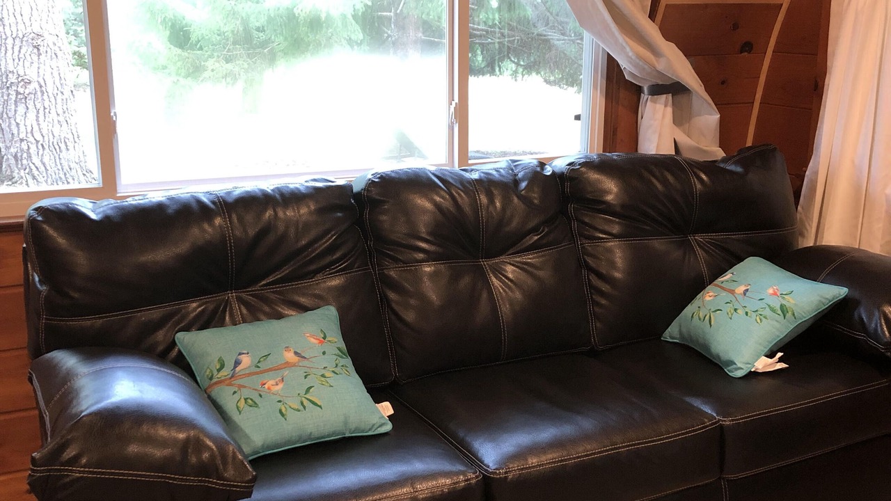 Photo of Livingroom in Newaygo