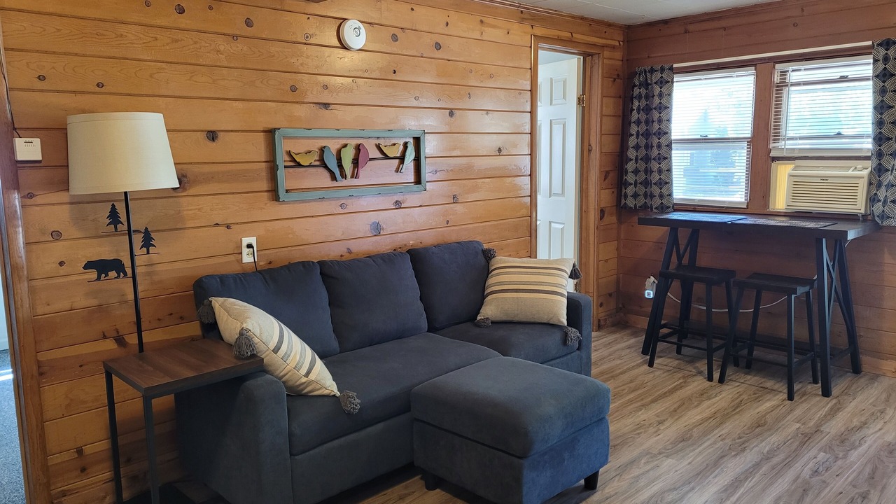 Photo of Livingroom in Newaygo