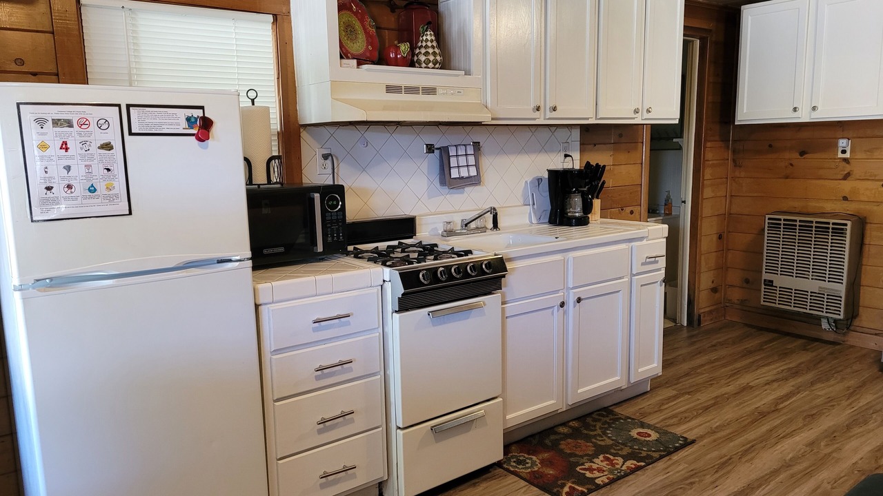 Photo of Kitchen in Newaygo