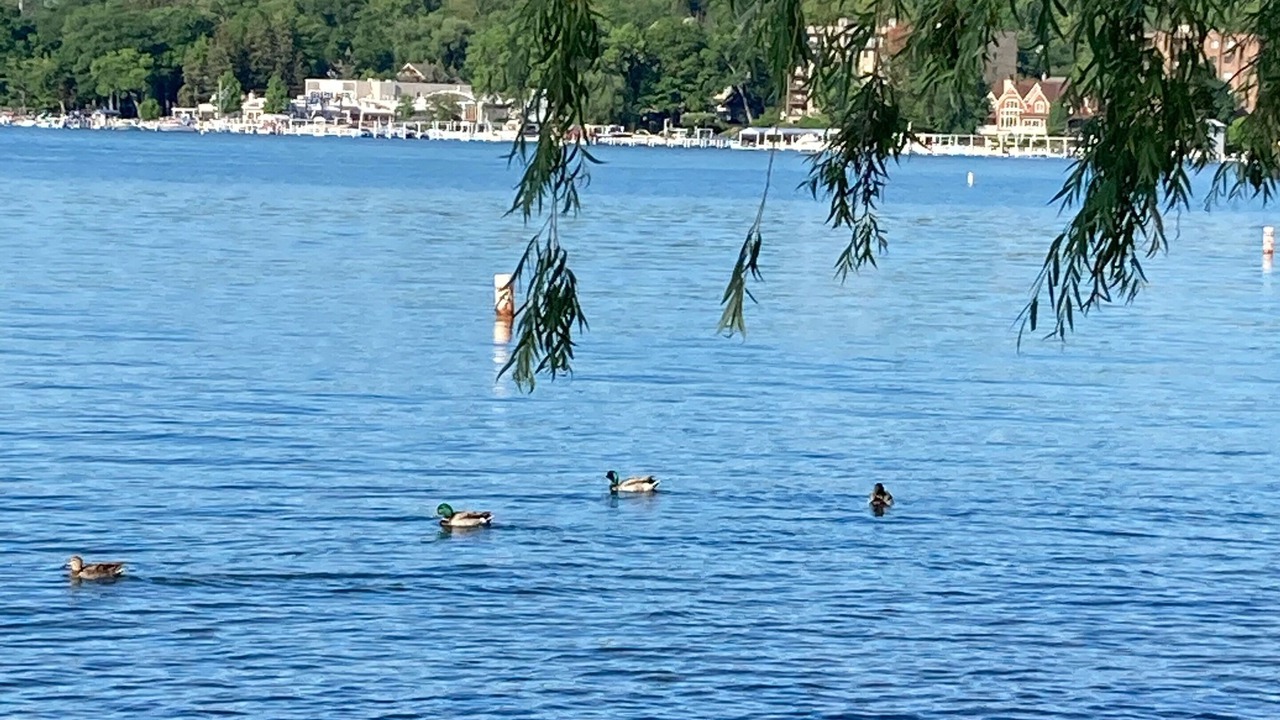 Photo of Others in Williams Bay