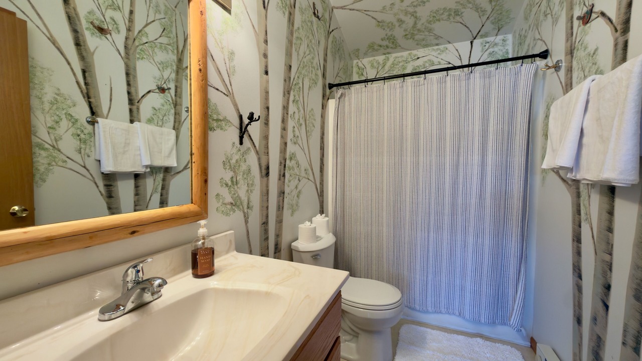 Photo of Bathroom in Woodruff
