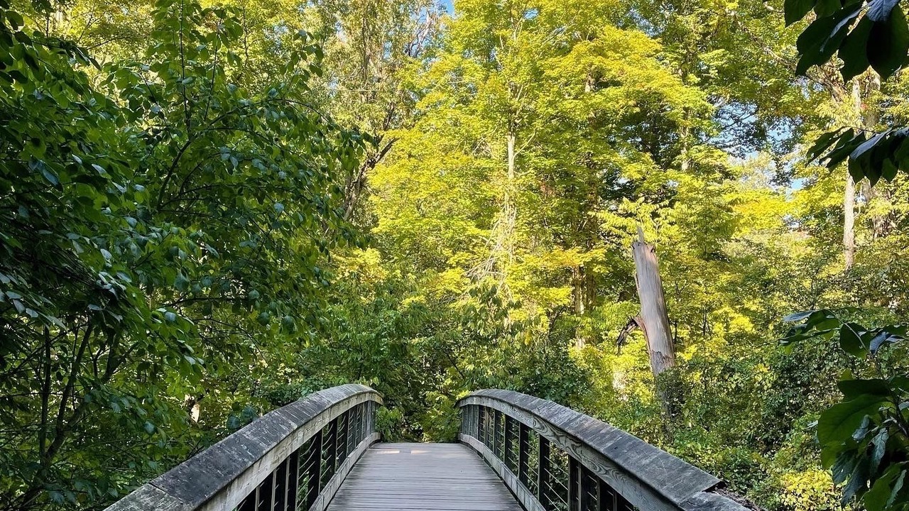 Photo of Outdoor in Three Oaks