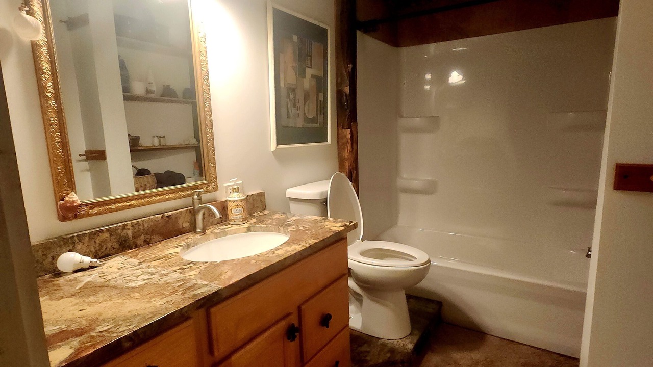 Photo of Bathroom in Newaygo