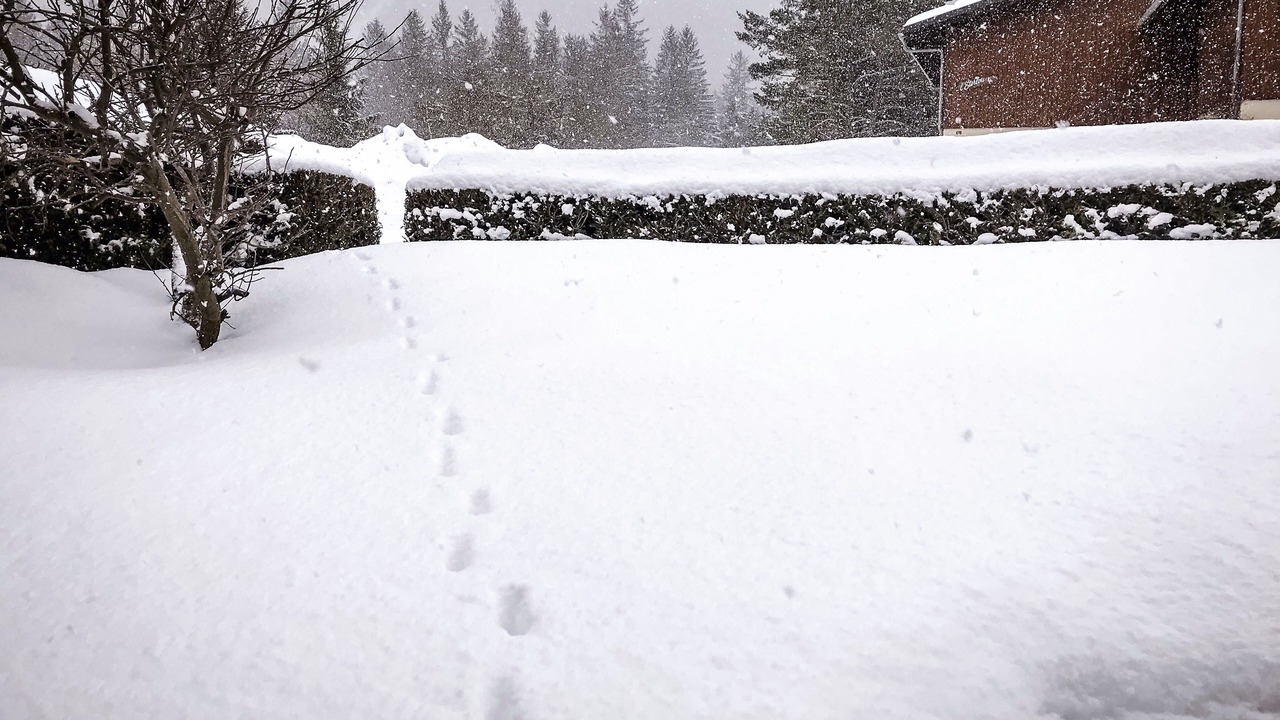 Photo of Outdoor in Les Praz-de-Chamonix