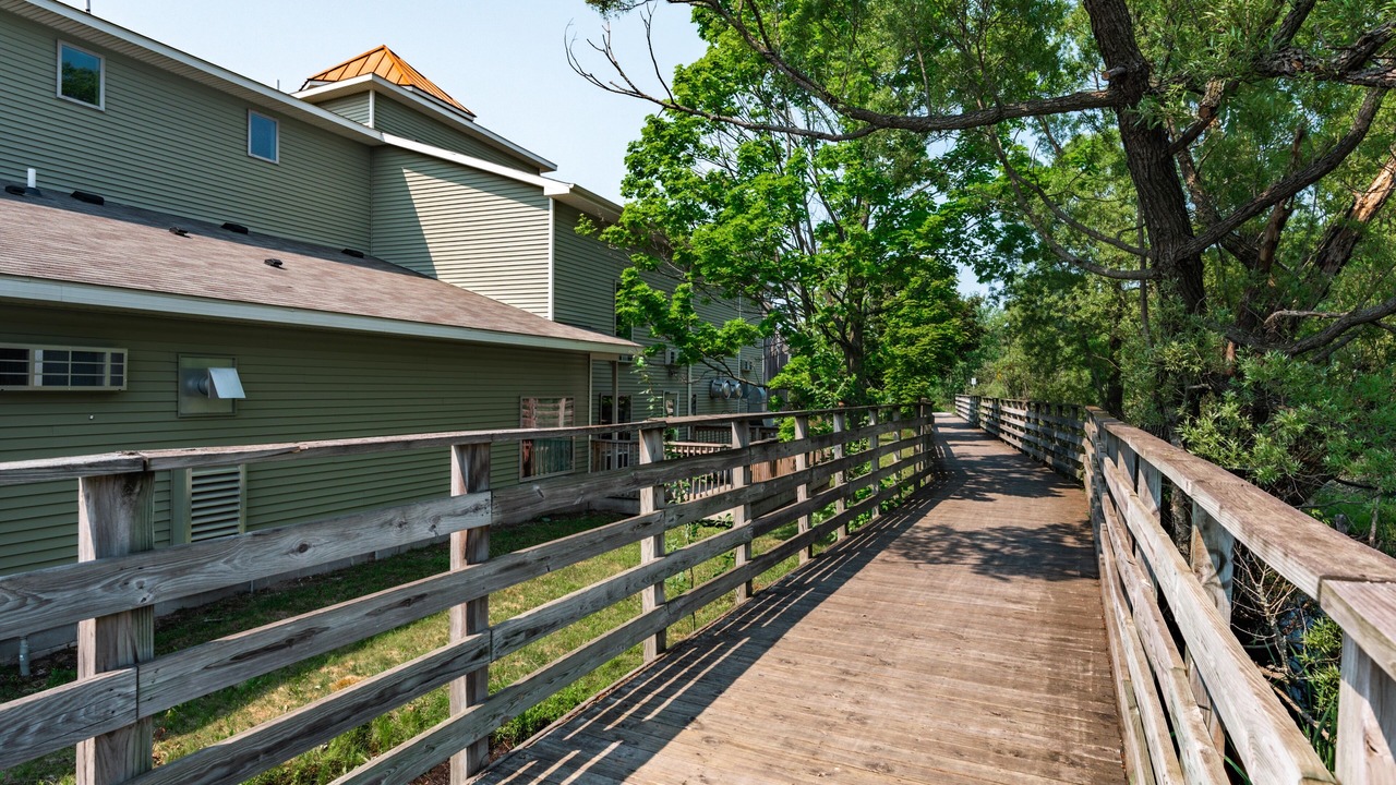 Photo of Outdoor in Traverse City
