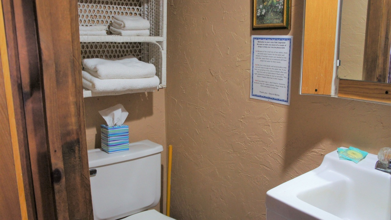 Photo of Bathroom in Grawn
