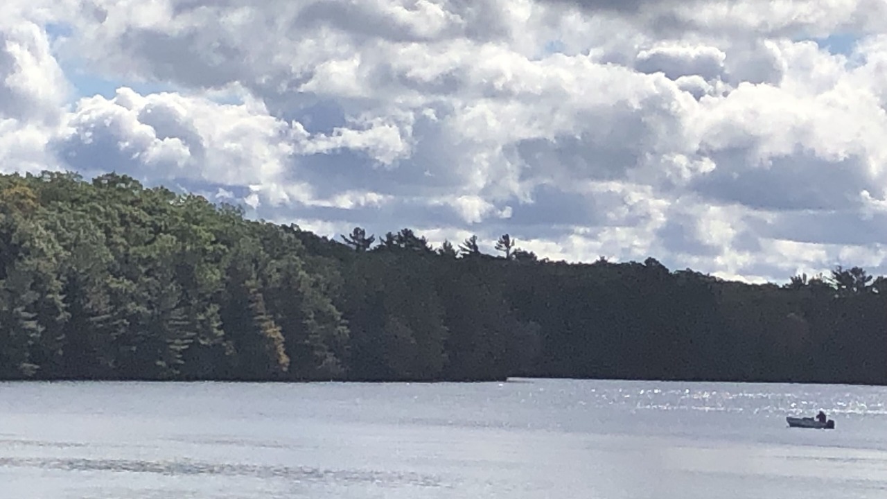 Photo of Others in Star Lake