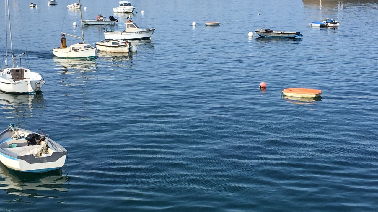 Photo of Others in Roscoff
