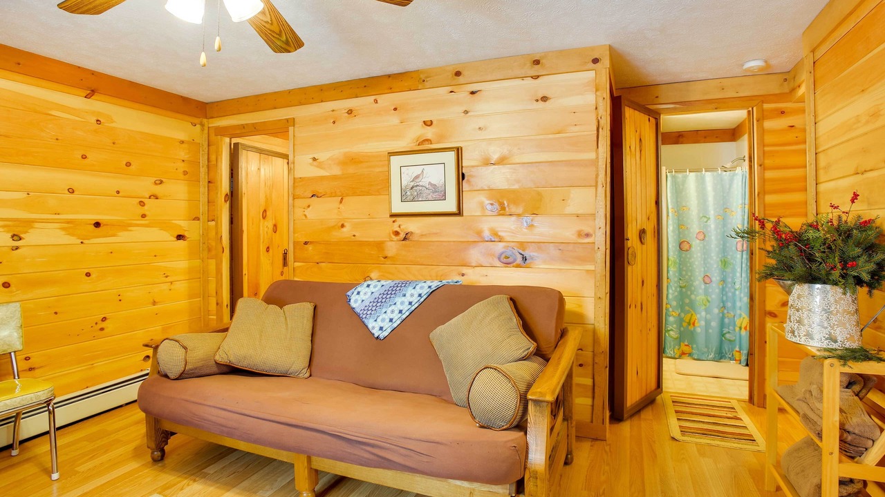 Photo of Livingroom in Interlochen