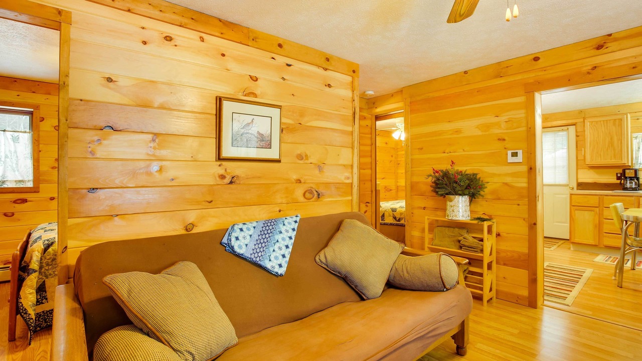 Photo of Livingroom in Interlochen
