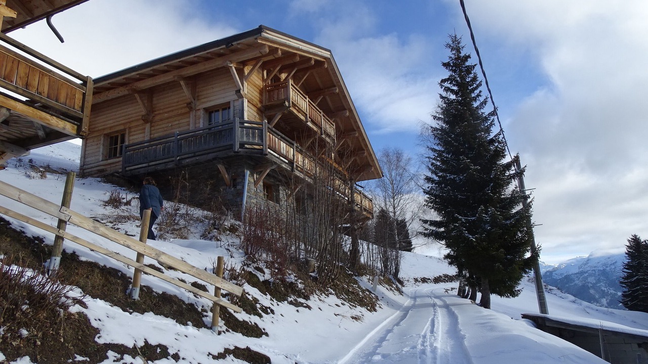 Photo of Outdoor in Bisanne 1500