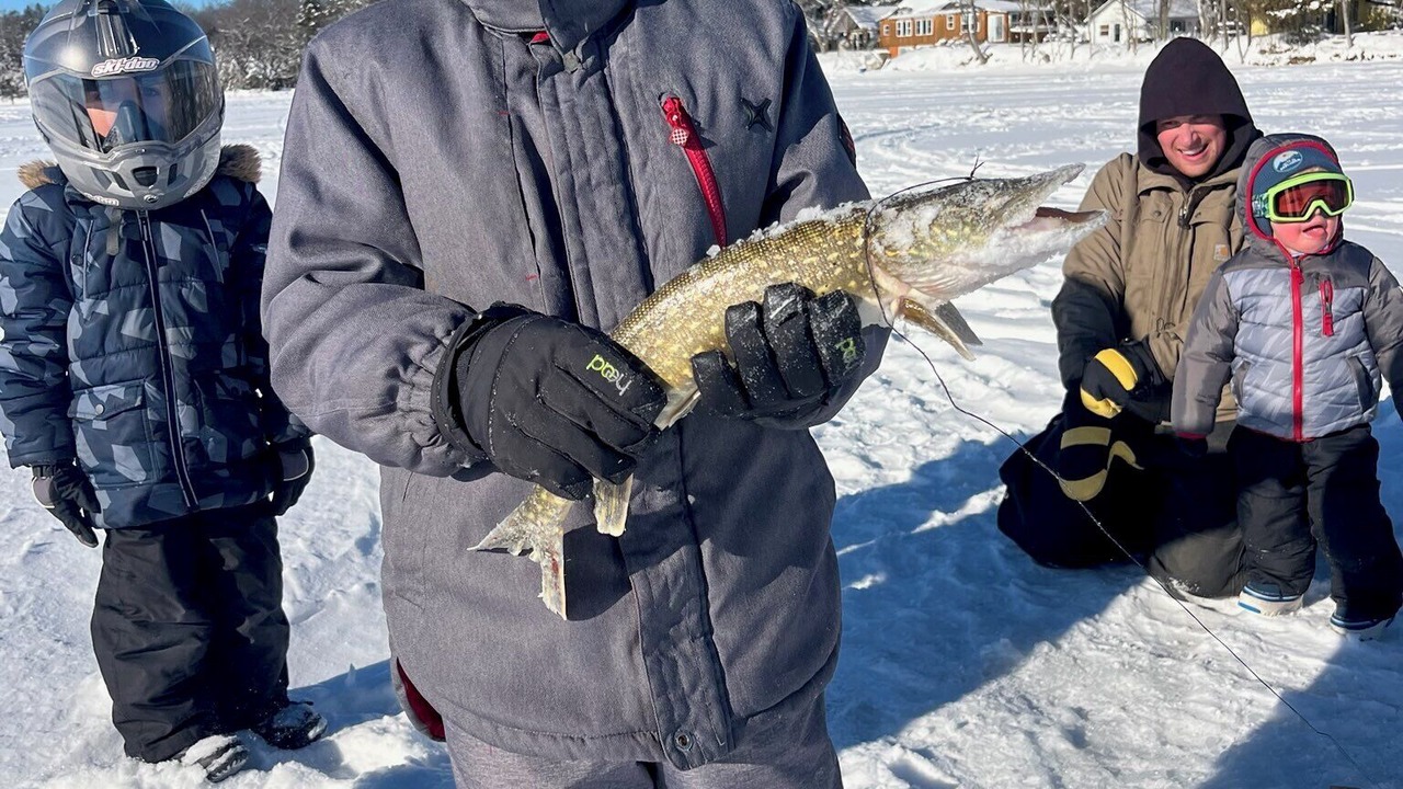 Photo of Others in Pickerel