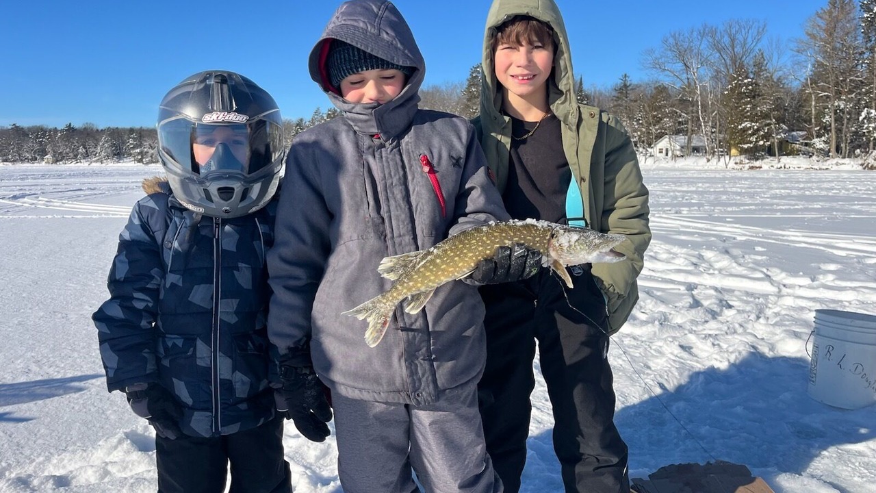 Photo of Others in Pickerel