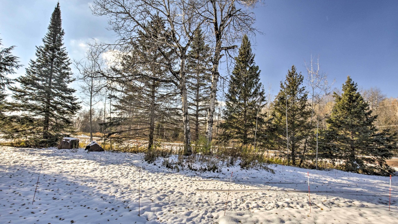 Photo of Outdoor in Bessemer