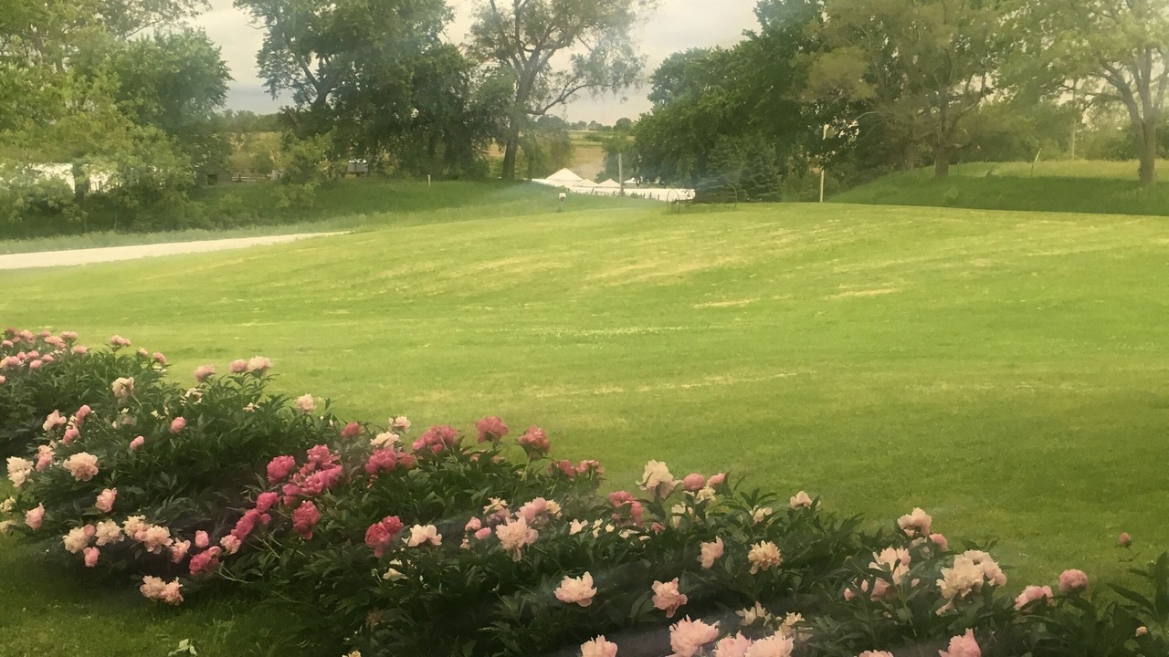 Photo of Others in Mills County